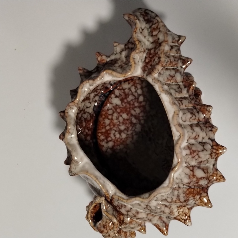 Artistic Shell-Shaped Ceramic Sculpture - Picture 2 of 4